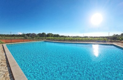 Exclusive Listing! Ground Floor Apartment in a Complex with Pool and Tennis Court, 6 km from Poreč.