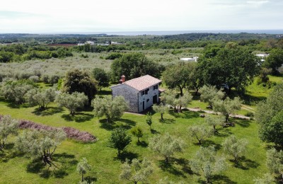 Unique Opportunity!! Istrian Estate with a Beautiful Stone House and 17,624 m² of Building Land