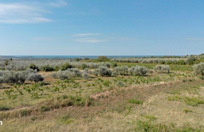 Luxury villa of modern design with a panoramic view of the sea and Brijuni National Park - under construction