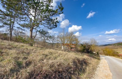 Building and agricultural land in central Istria